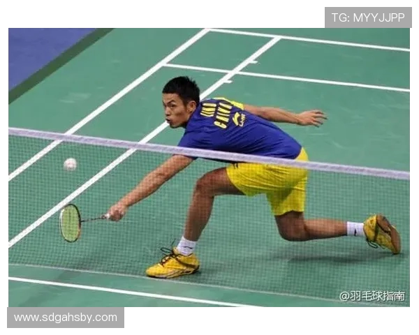 南京羽毛球队战术解析与对比深度剖析球队优势与不足