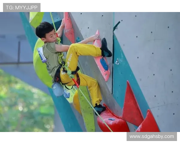 攀岩意识排行榜揭晓杭州攀岩队荣获第二名引发关注